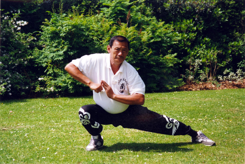 Grandmaster Tan Soh Tin