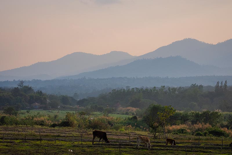 The morning misty mountain view from Nam Yang's training areas