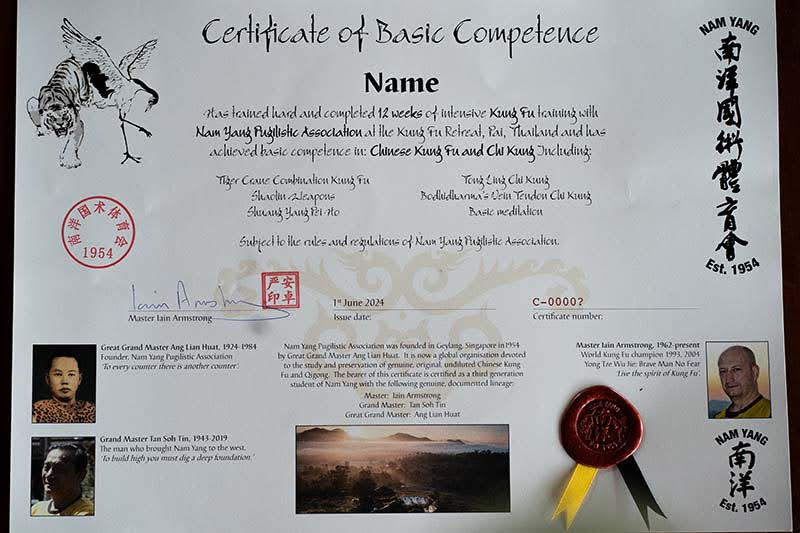 Nam Yang Certificate pictured with authentic elegant writing signatures and chinese stamps to match.