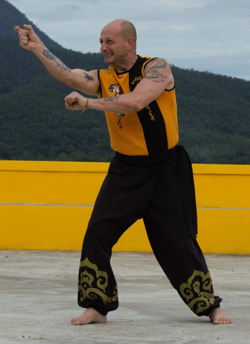 Master Iain performing kung fu