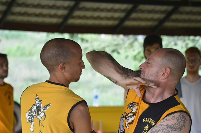 Master Iain teaching the front elbow strike