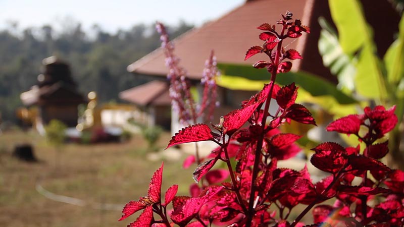 View of the Retreat